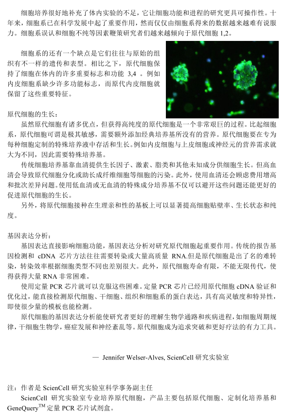 上海中乔新舟生物科技有限公司|原代细胞|基因表达分析|定制化培养基|细胞培养|细胞系|Sciencell