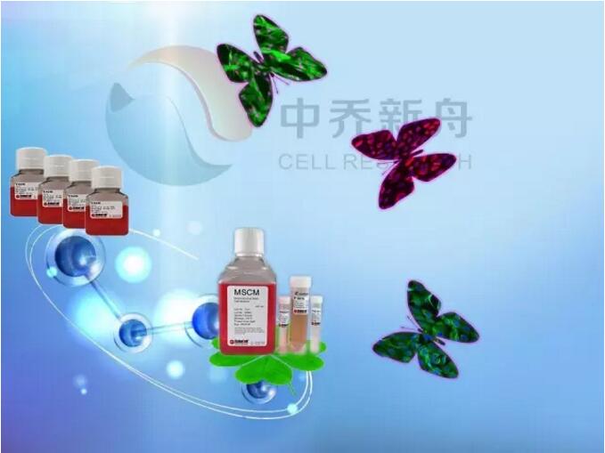 细胞培养注意事项|冻存细胞|中科院细胞系|ATCC细胞|上海细胞库|细胞知识总结