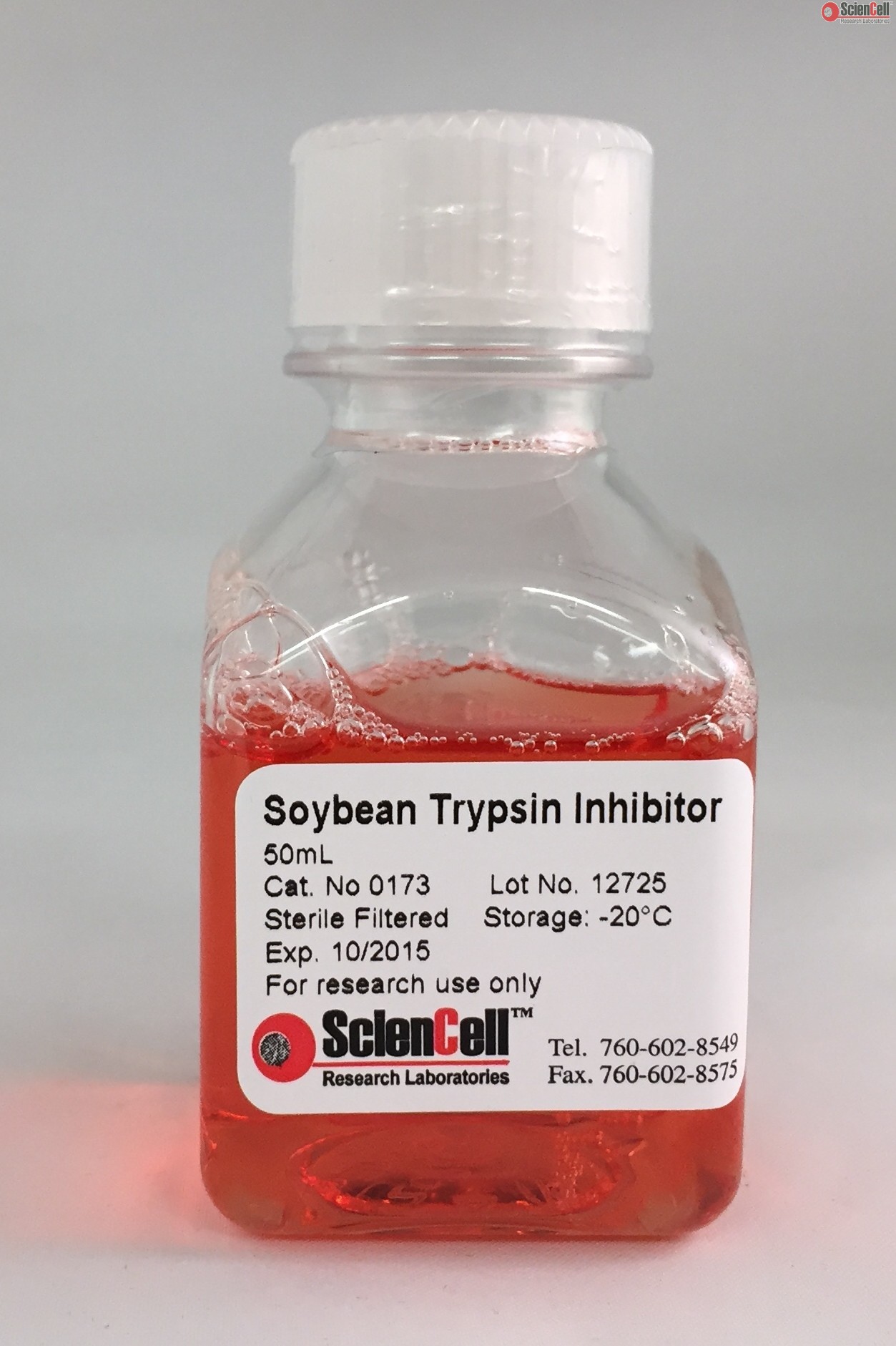 大豆胰蛋白酶抑制劑 英文名:soybean trypsin inhibitor 貨號:0173