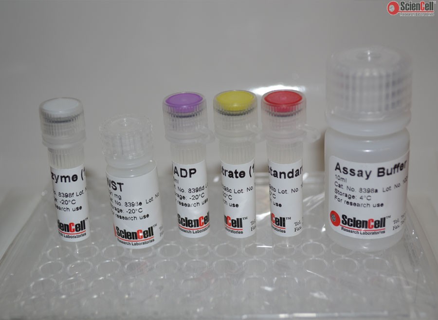 6-磷酸葡萄糖检测试剂盒 英文名:glucose-6-phosphate assay 货号